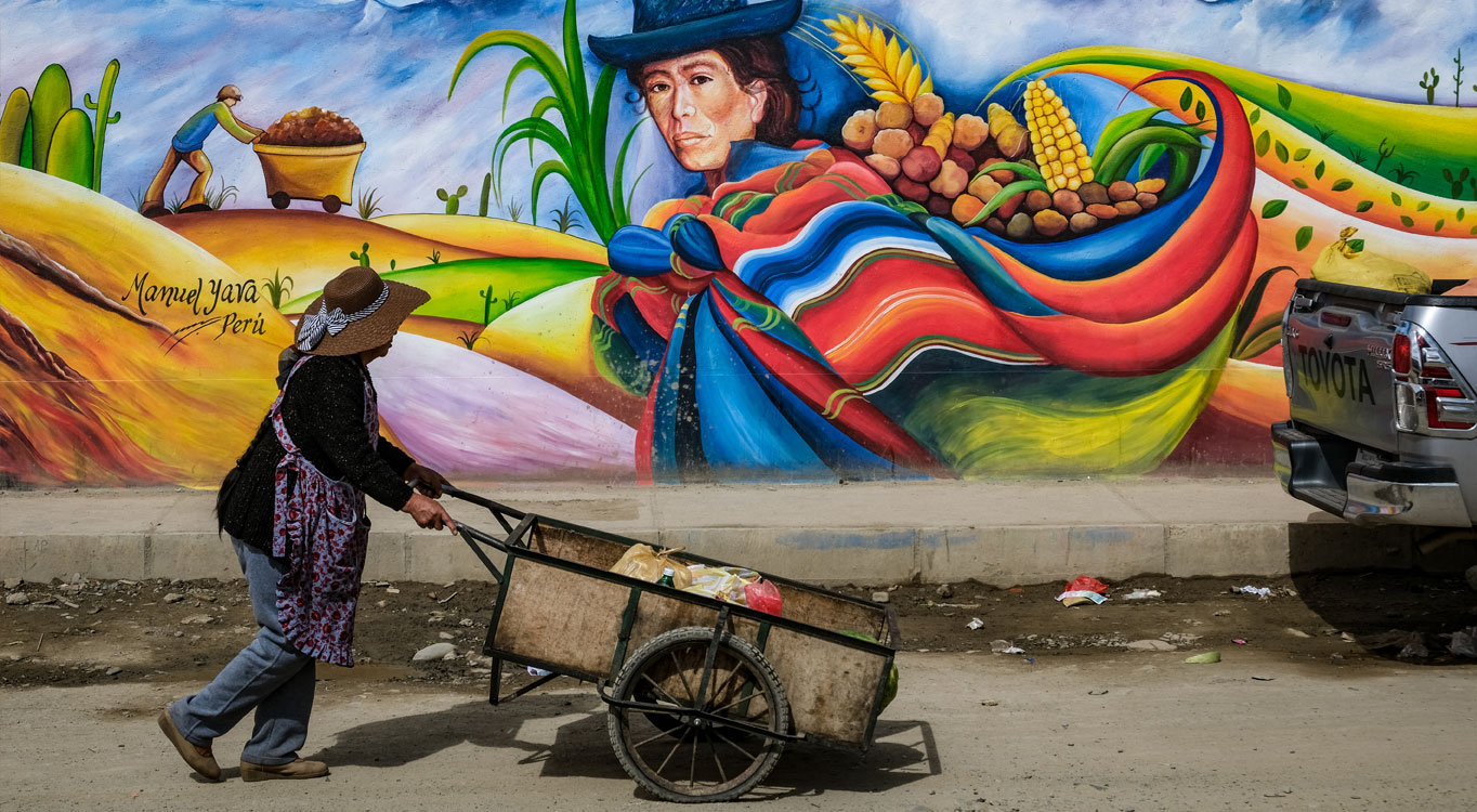 צילום: איתמר פלג