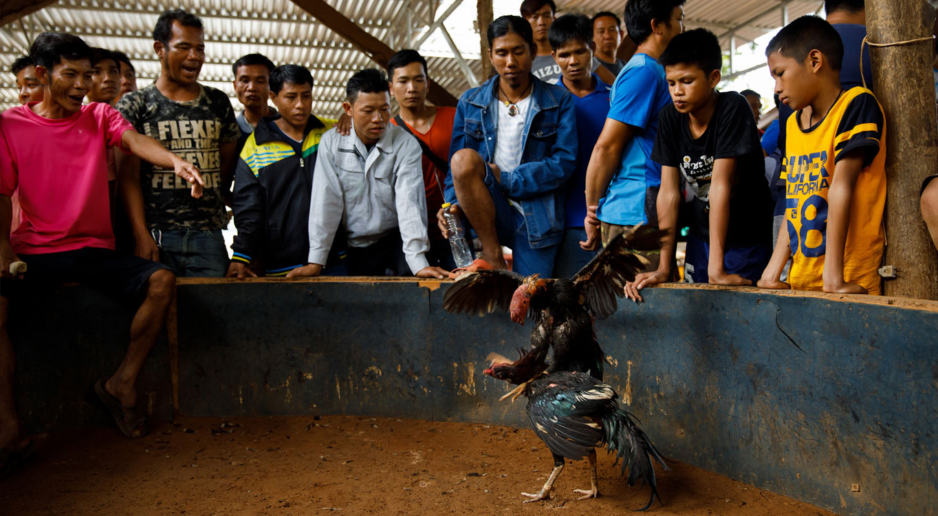 צילום: זיו קורן