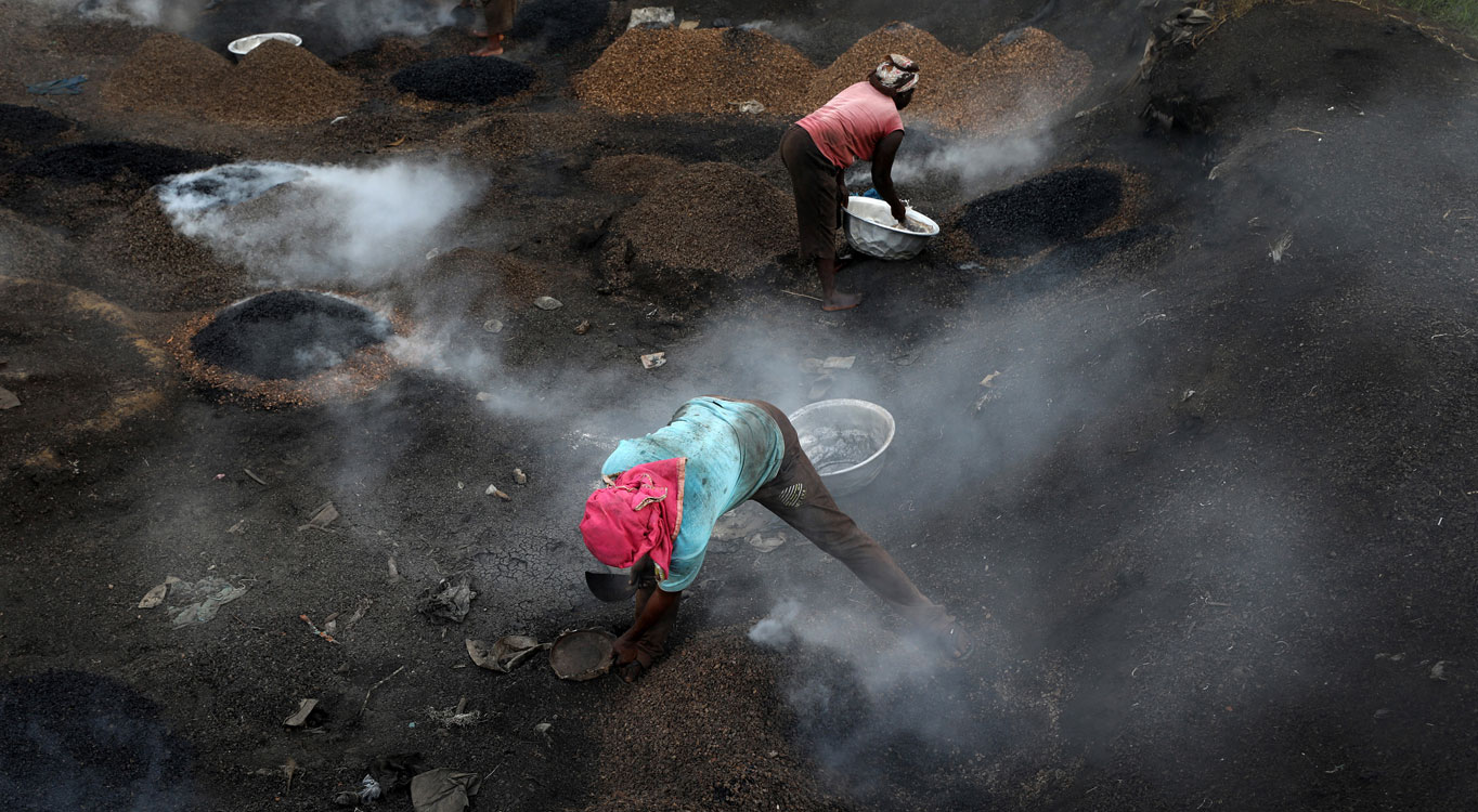 צילום: זיו קורן