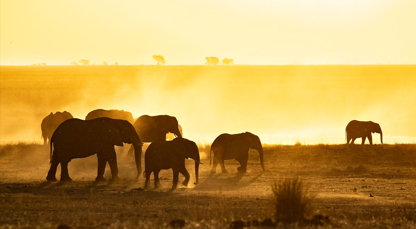 ספארי בטנזניה לצלמים