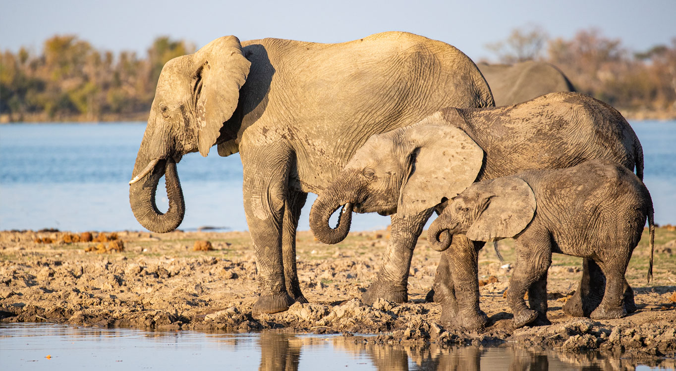 ספארי בטנזניה לצלמים