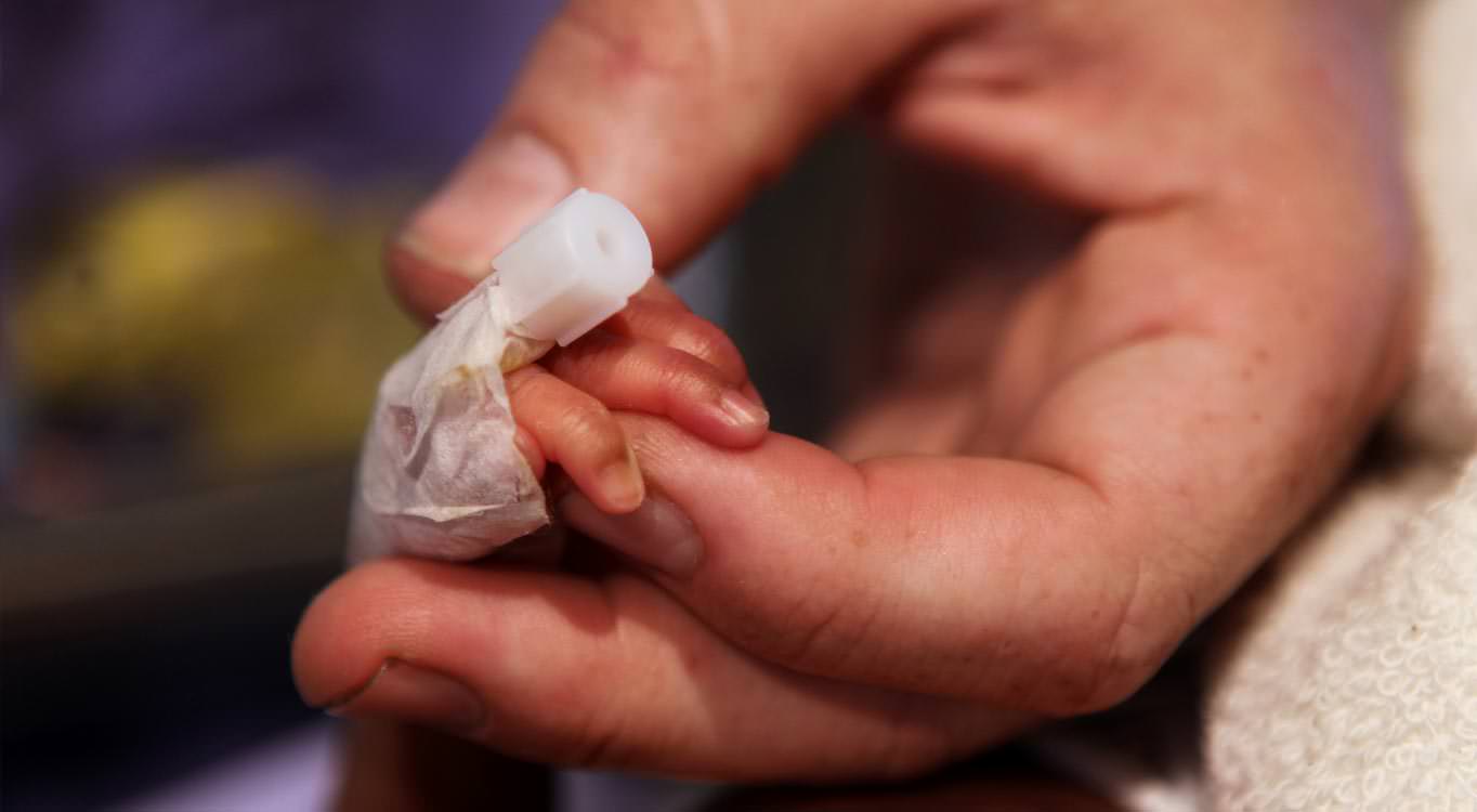 צילום דוקומנטרי עם זיו קורן