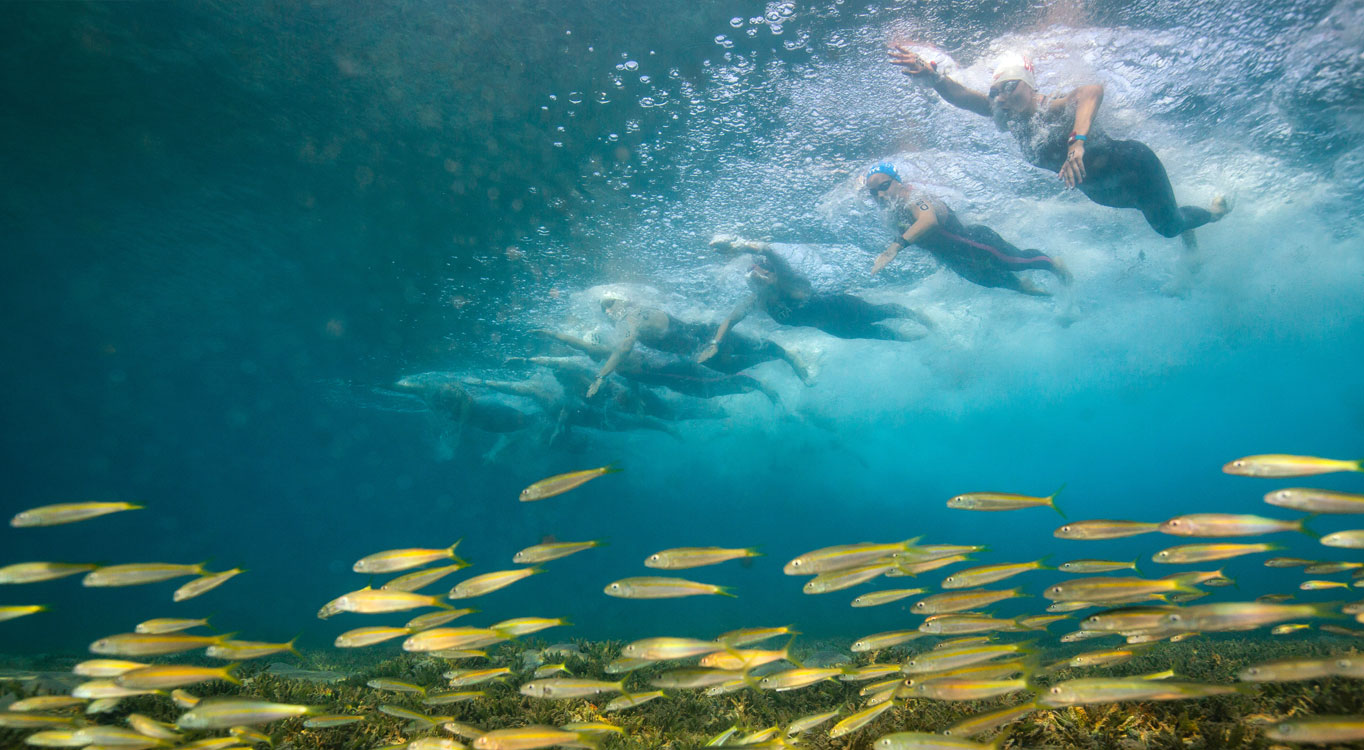 מתוך הפורטפוליו של גלעד קוולרצ'יק