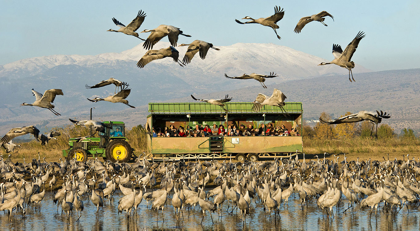 מתוך הפורטפוליו של יוסי אשבול