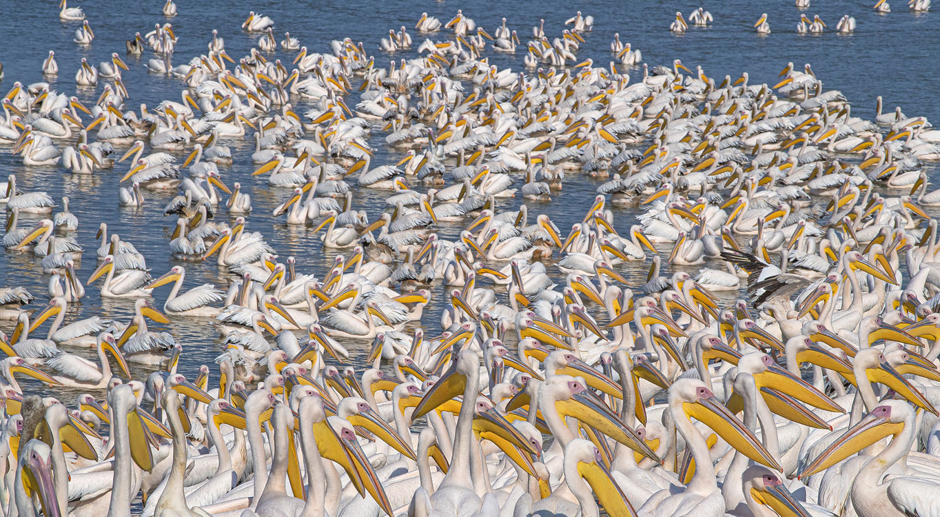 מתוך הפורטפוליו של יוסי אשבול