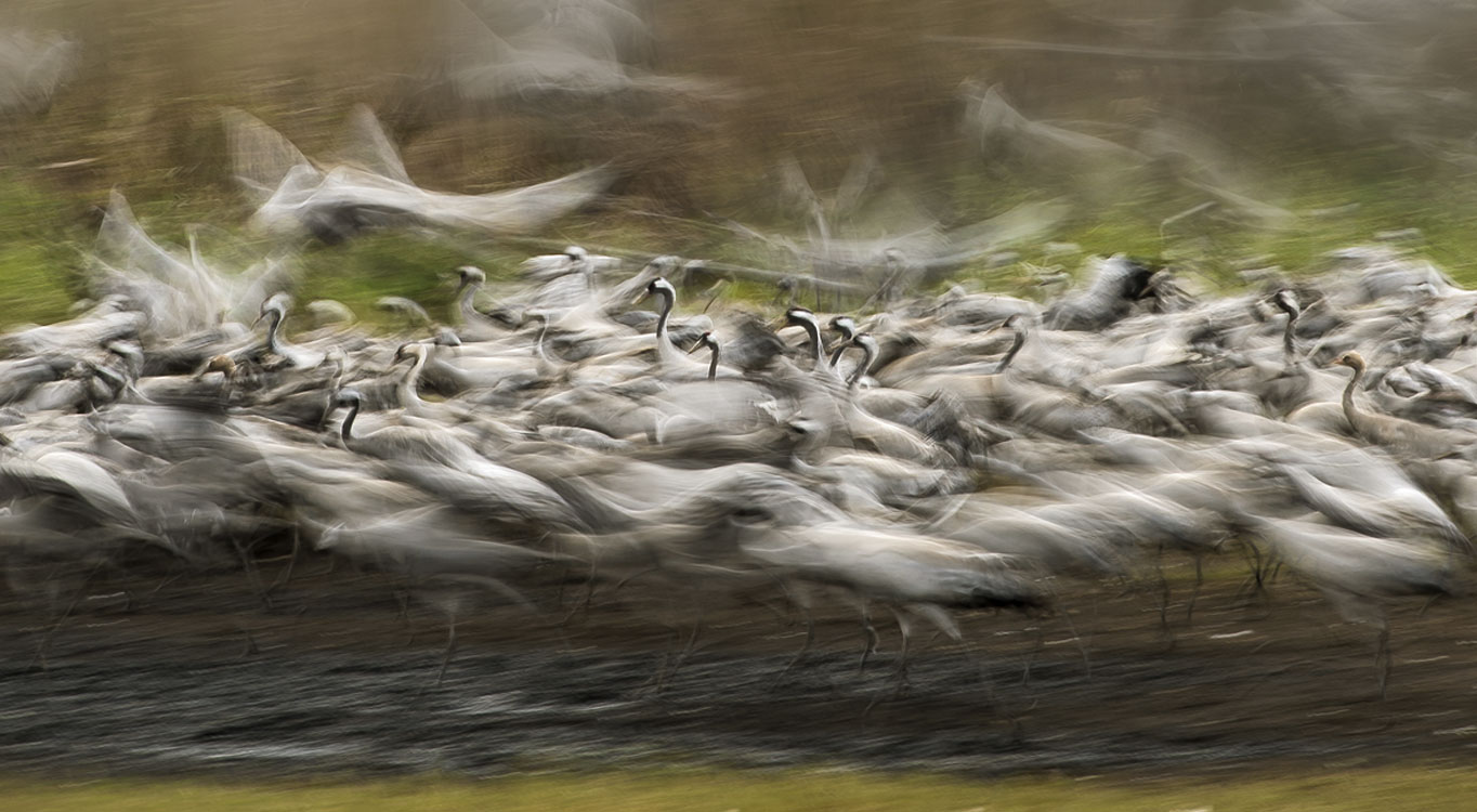 מתוך הפורטפוליו של יוסי אשבול