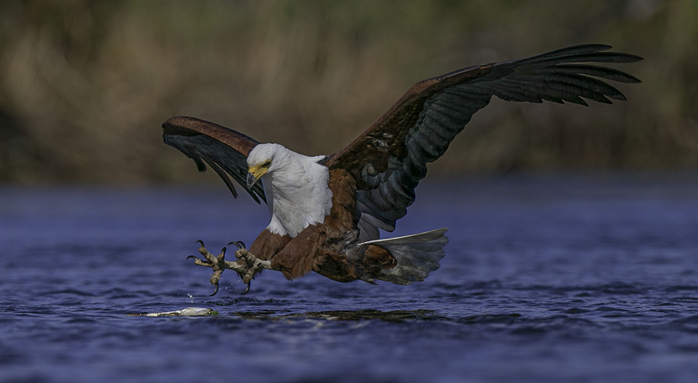 צילומים מתוך הפורטופוליו של עמוס נחום