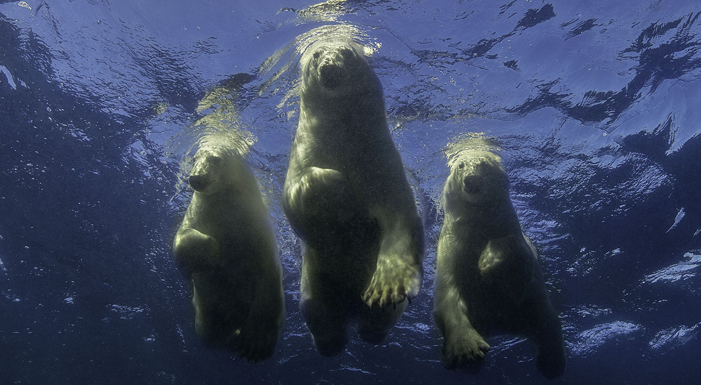 צילומים מתוך הפורטופוליו של עמוס נחום