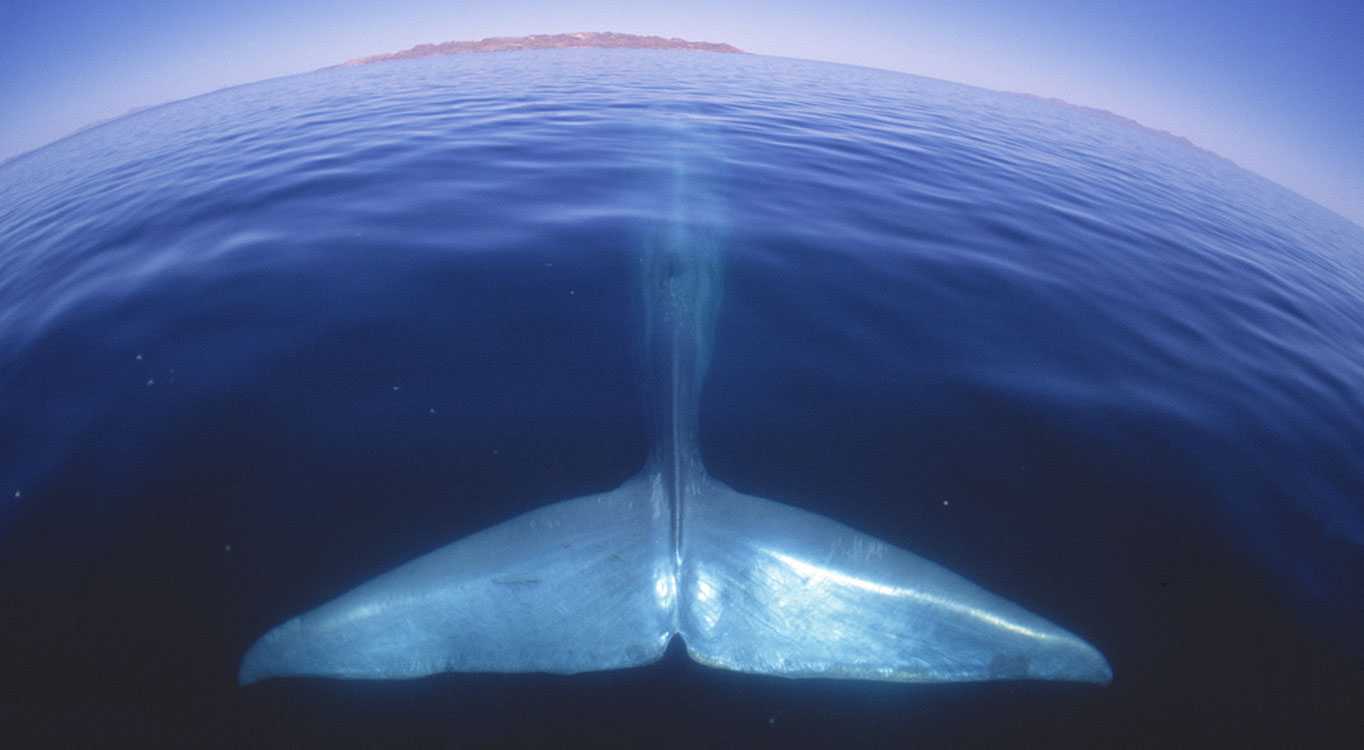 צילומים מתוך הפורטופוליו של עמוס נחום