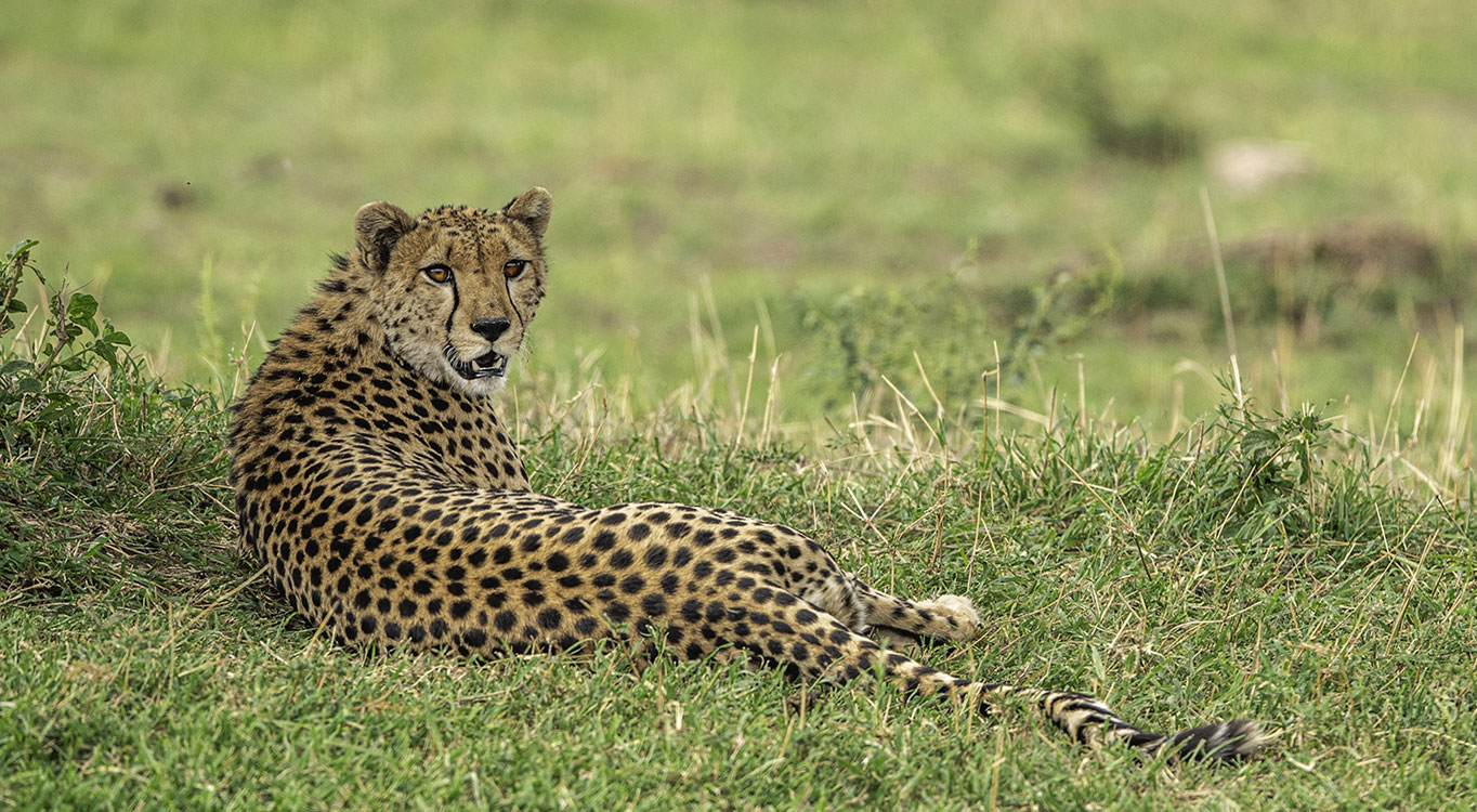 צילומים מתוך הפורטופוליו של עמוס נחום