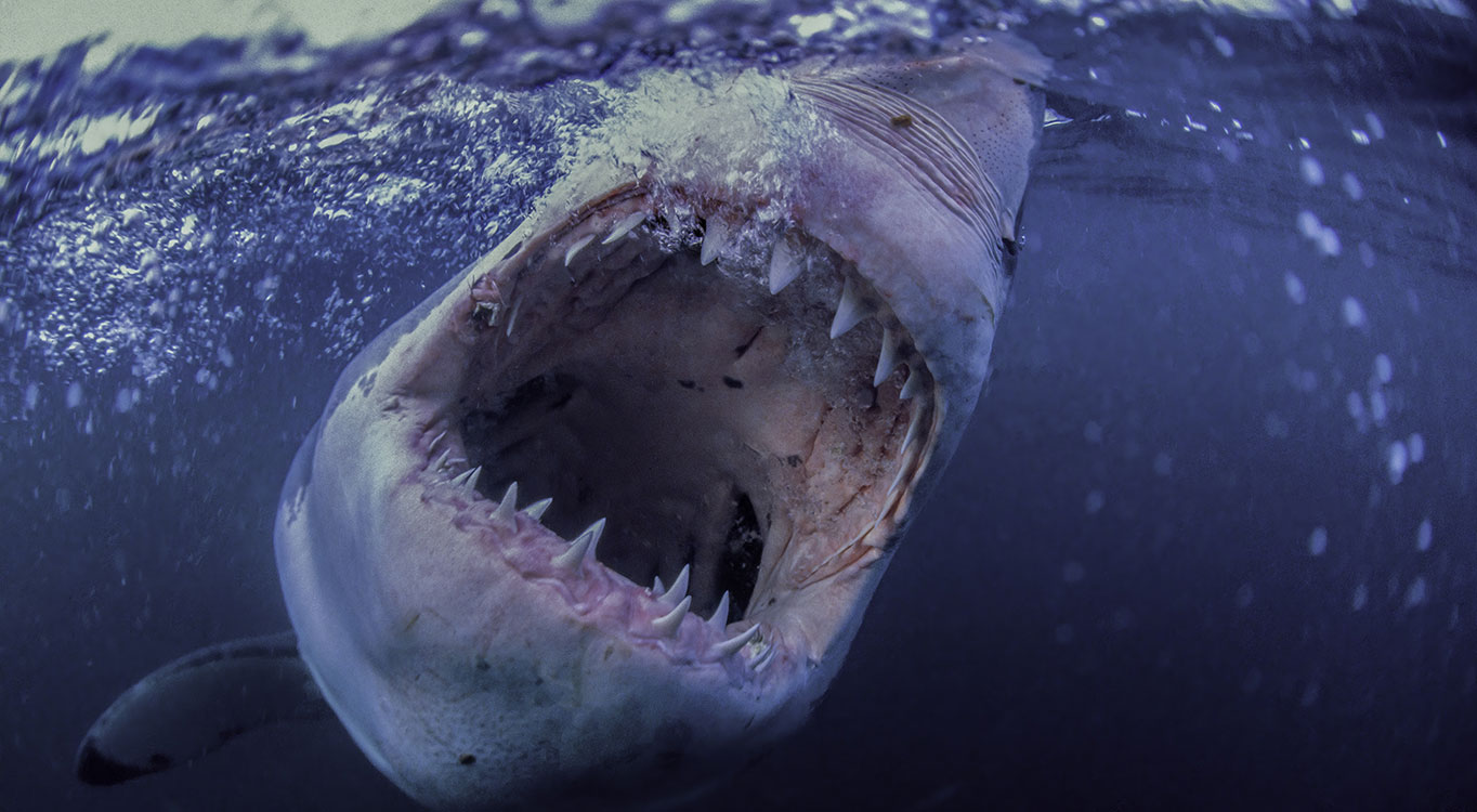 צילומים מתוך הפורטופוליו של עמוס נחום