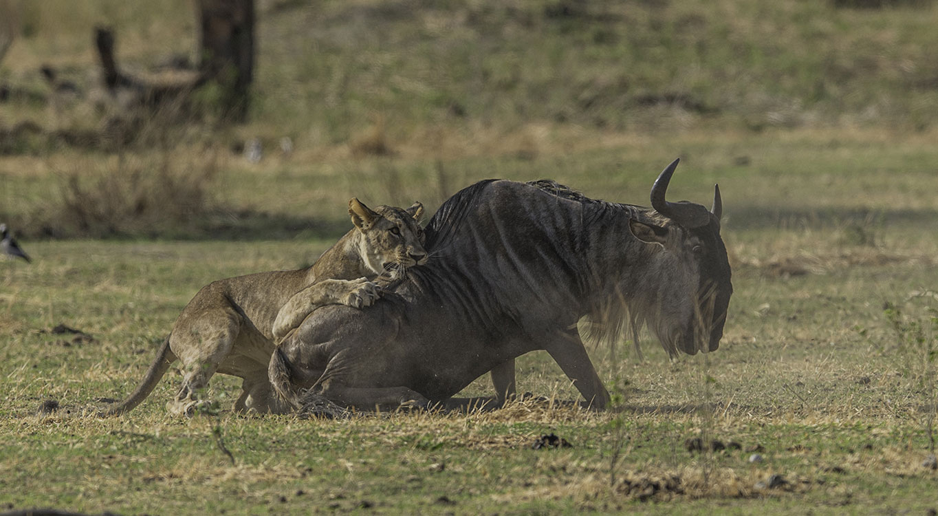 צילומים מתוך הפורטופוליו של עמוס נחום