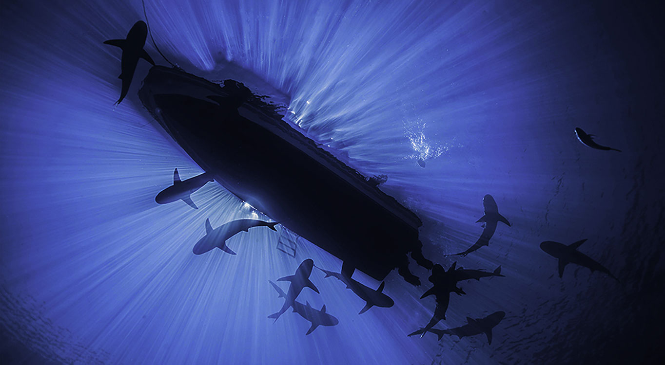 צילומים מתוך הפורטופוליו של עמוס נחום