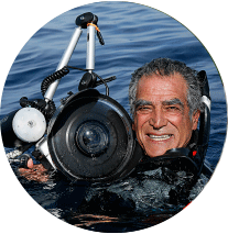 עמוס נחום - צלם טבע