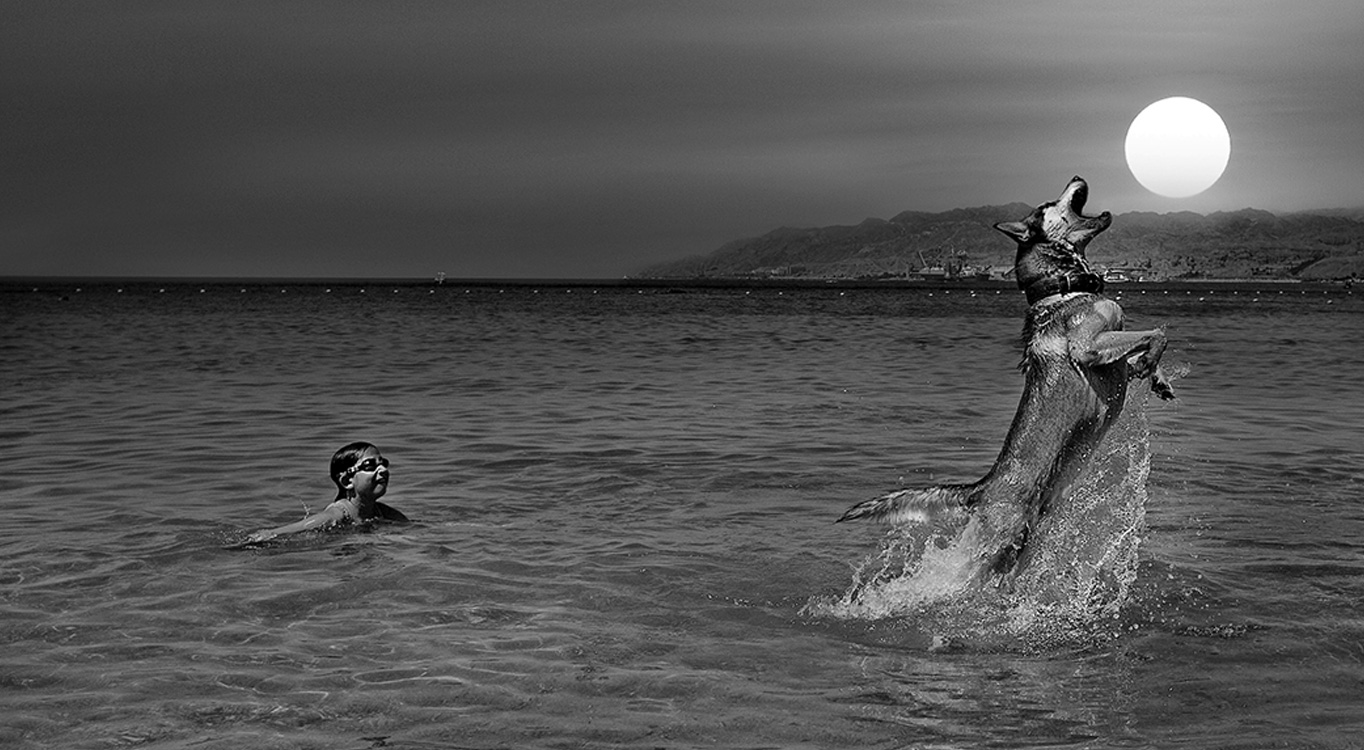 פיתוח הזהות הצילומית עם גלעד בנארי