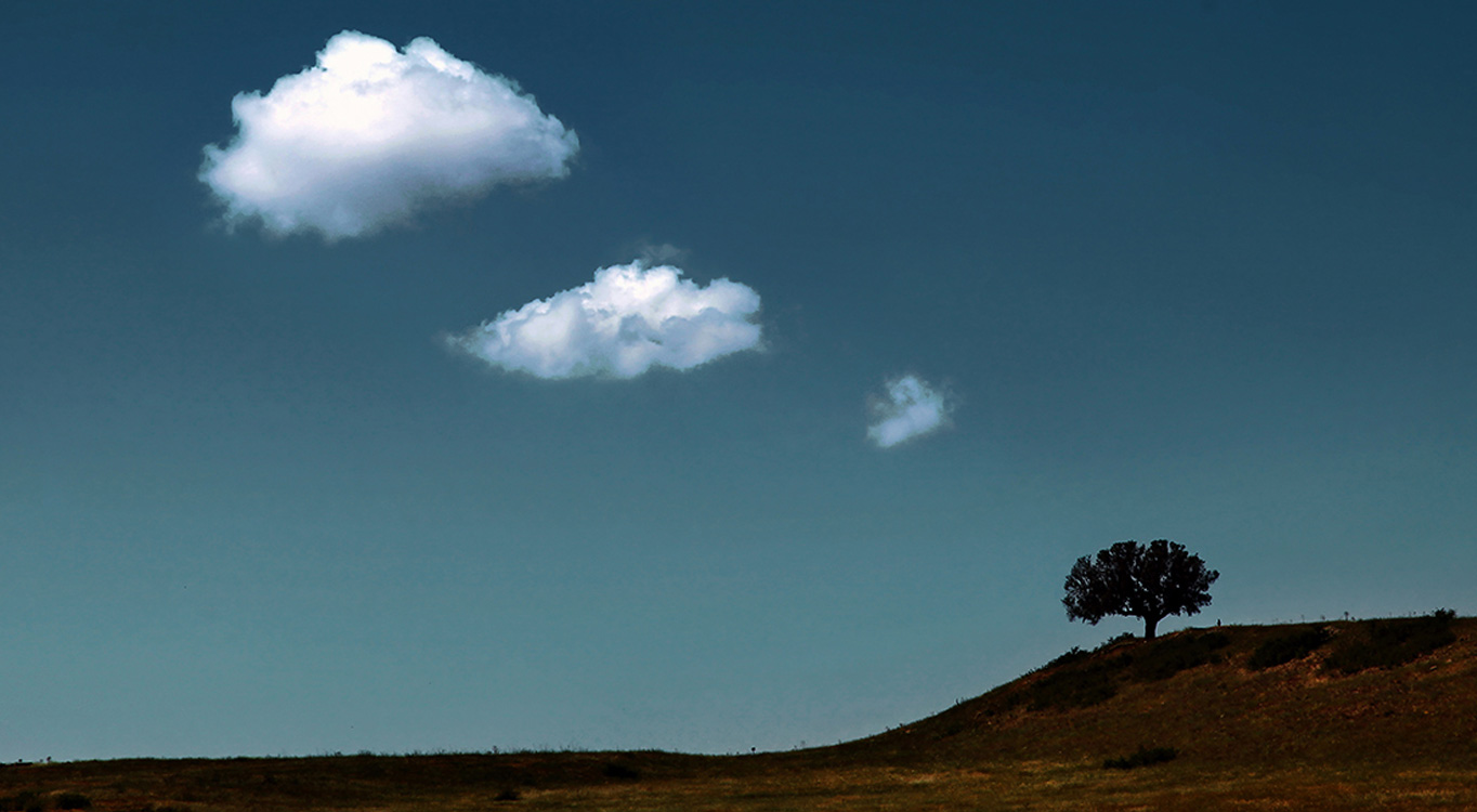 פיתוח הזהות הצילומית עם גלעד בנארי
