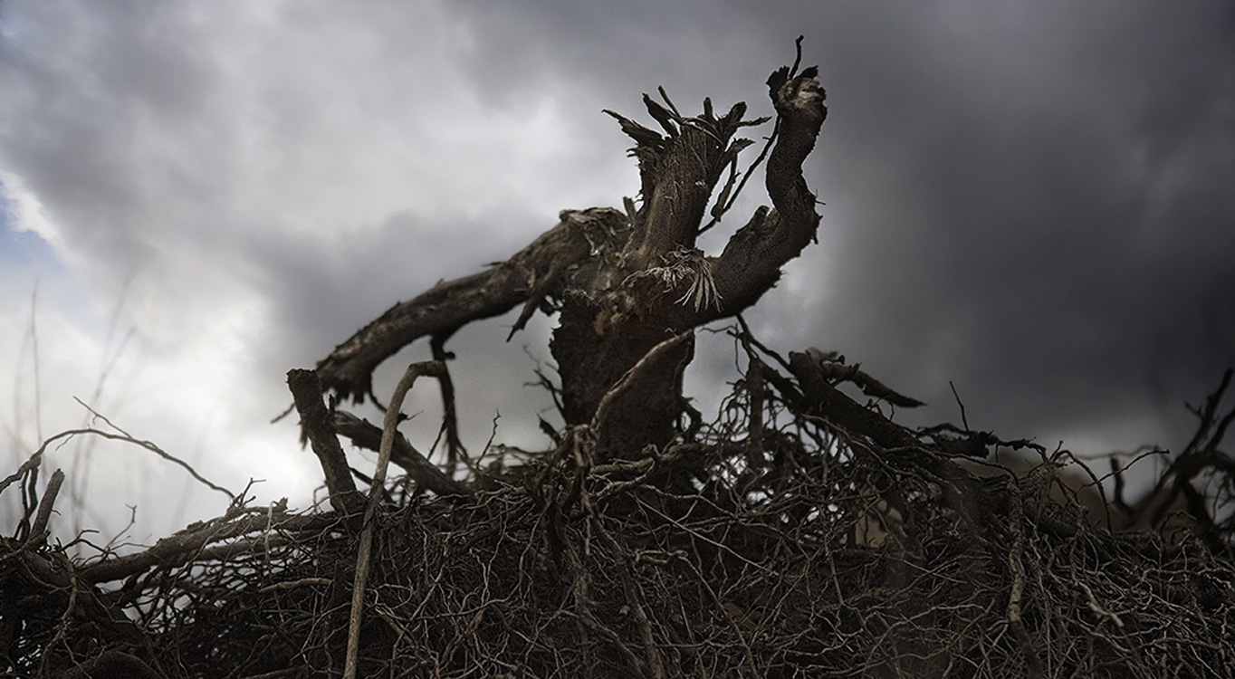 פיתוח הזהות הצילומית עם גלעד בנארי