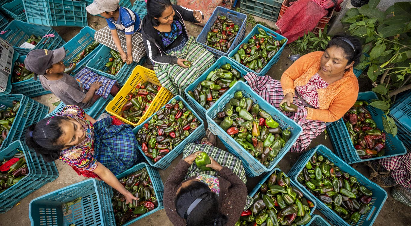 מסע צילום בגואטמלה - נתן דביר