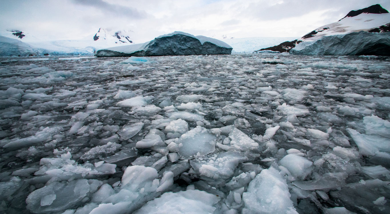 מתוך הפורטפוליו של אייל ברטוב