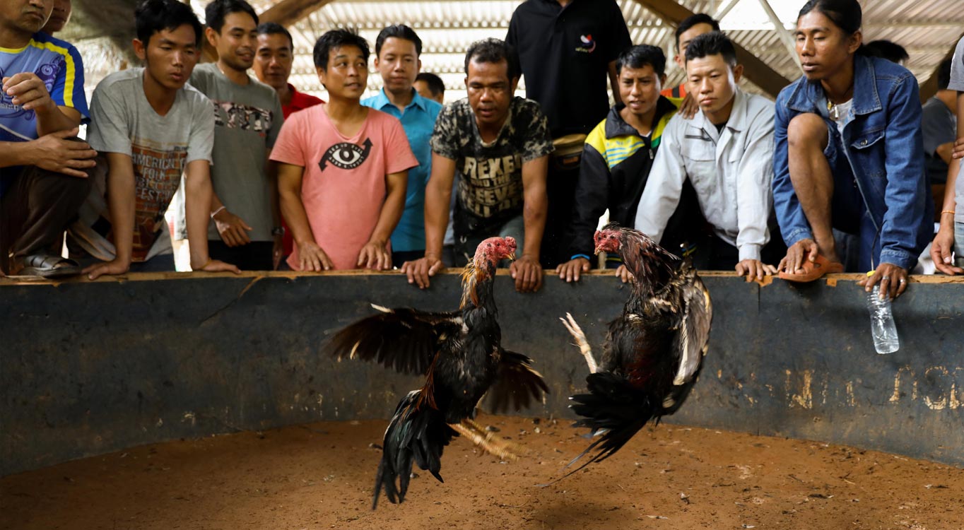 מתוך מסע צילום ללאוס וקמבודיה עם זיו קורן