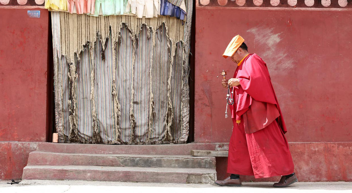 מתוך תיק עבודות של לירון אלמוג - מדריכת צילום