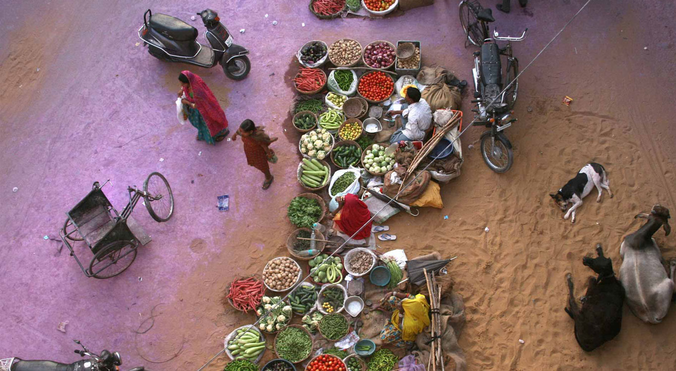 מתוך תיק עבודות של לירון אלמוג - מדריכת צילום