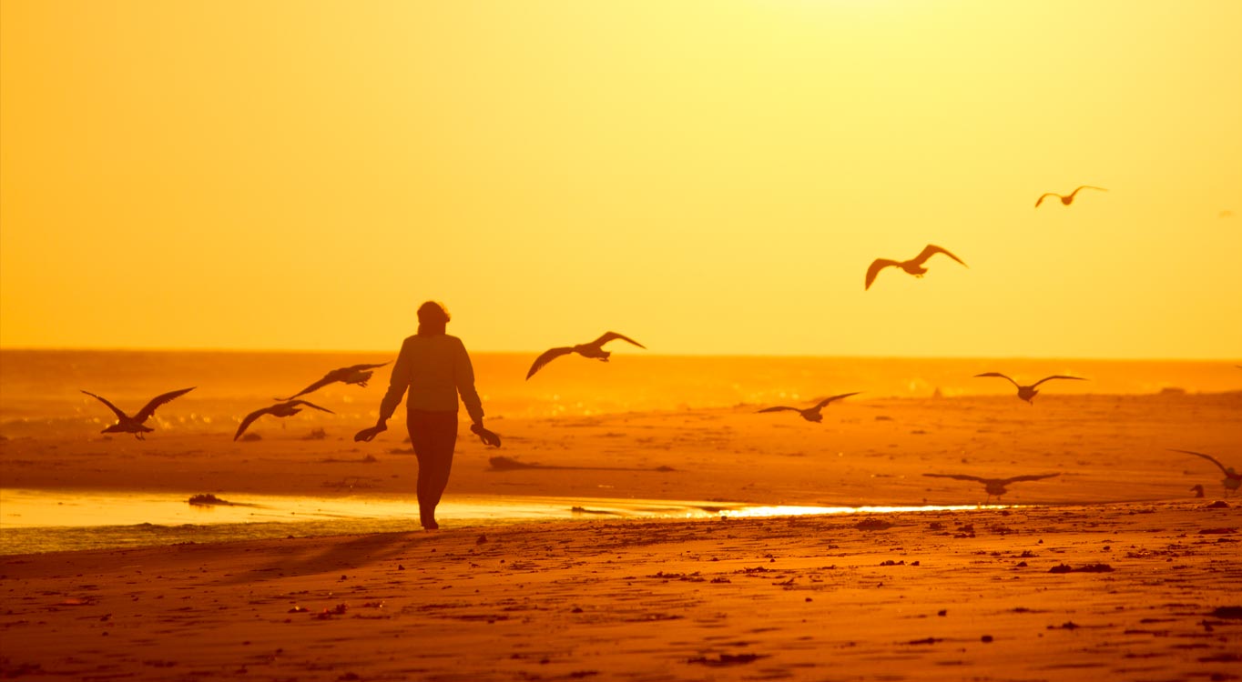 קורס צילום למתחילים, מתוך תיק עבודות של אודי גורן