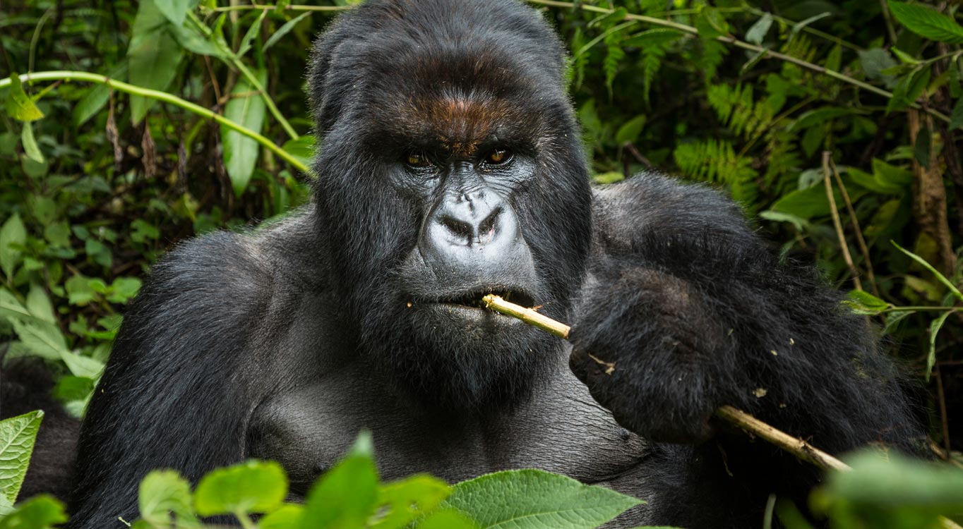 קורס צילום למתחילים, מתוך תיק עבודות של אודי גורן